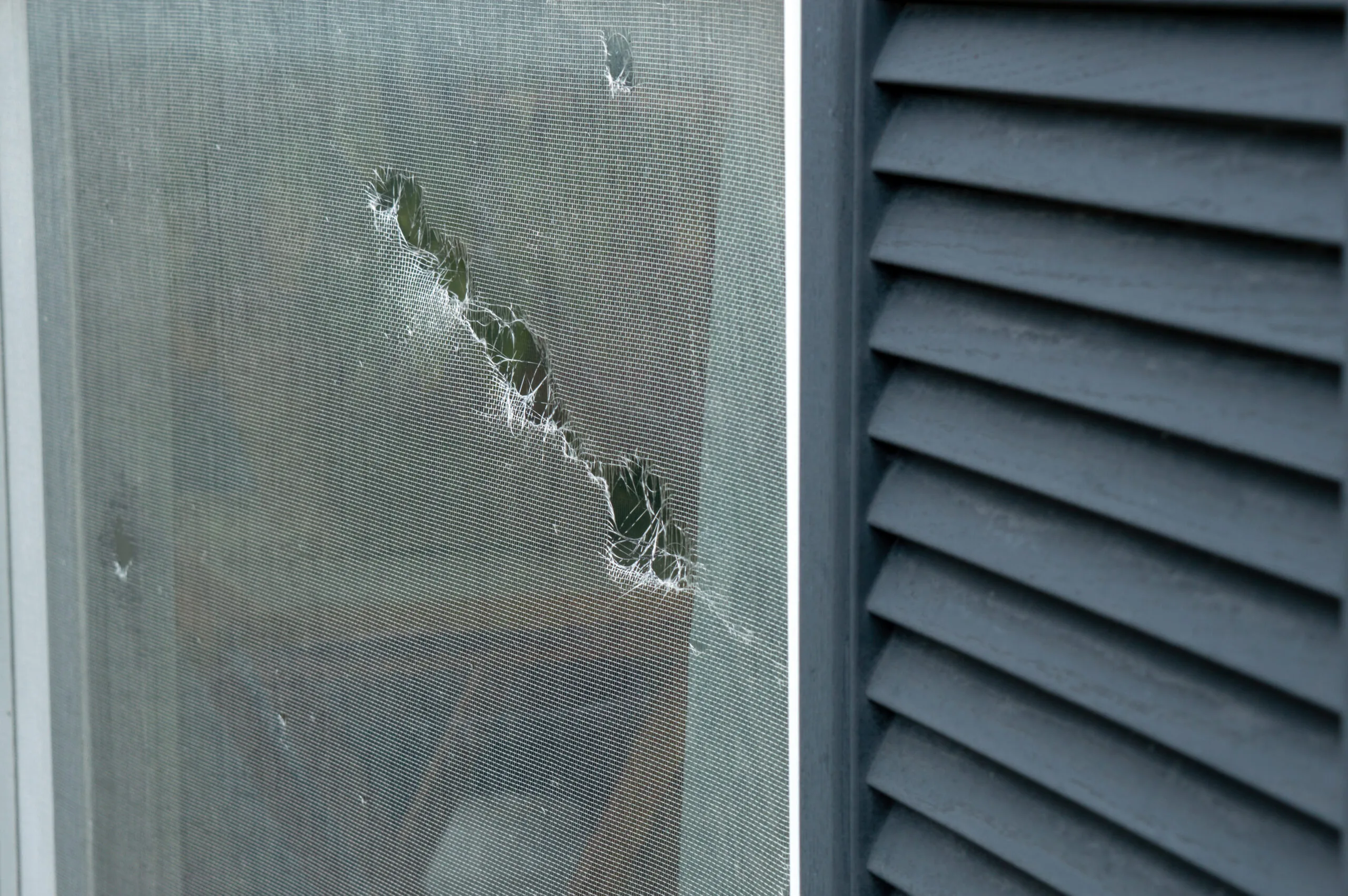 broken window screen with holes in it