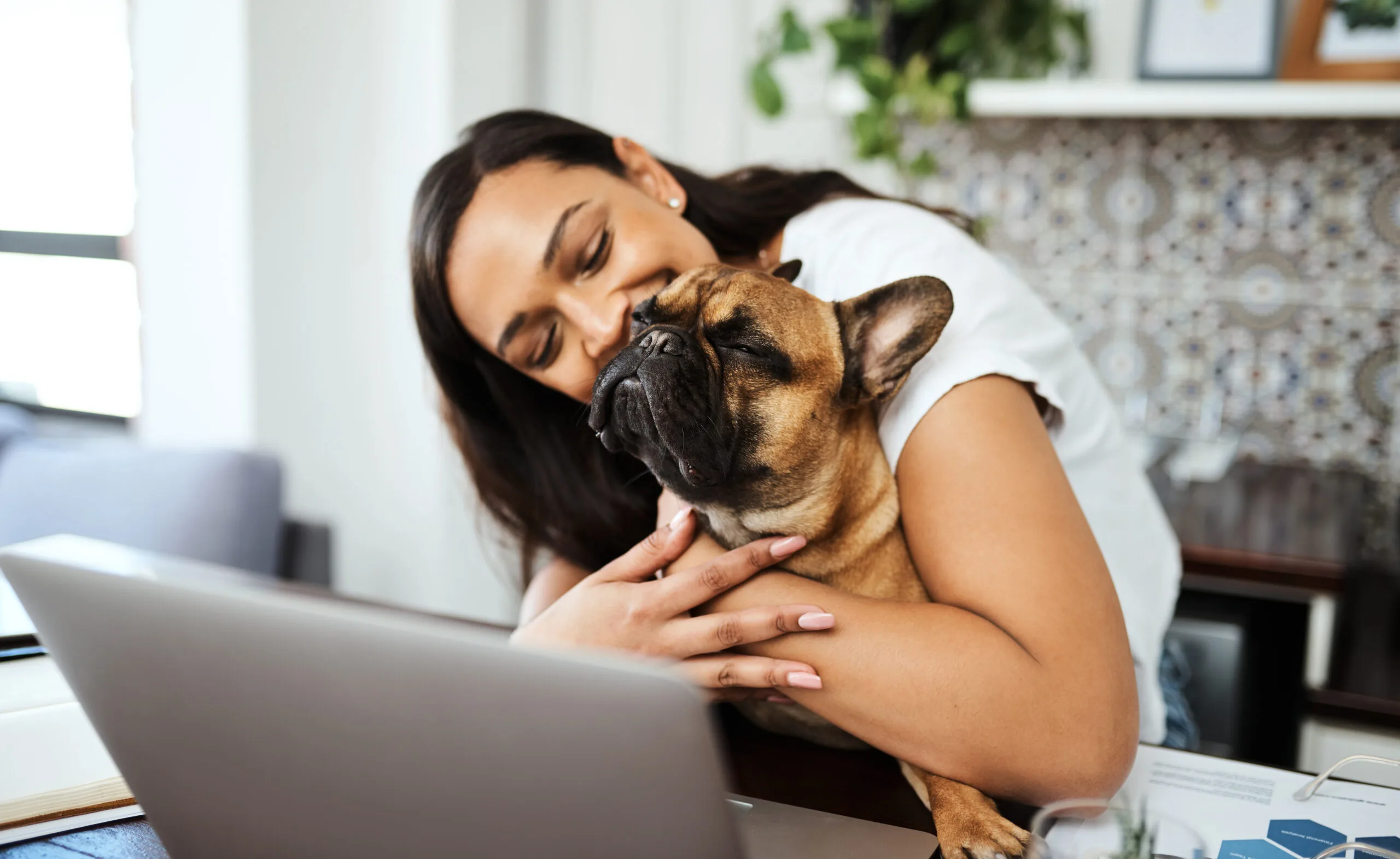 Woman, laptop and emotional support dog. 
