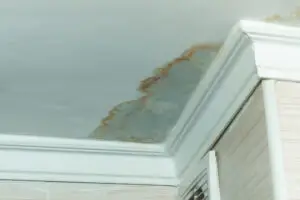 how long does a landlord have to fix water damage​, Neighbors have a water leak, water-damaged ceiling, close-up of a stain on the ceiling.