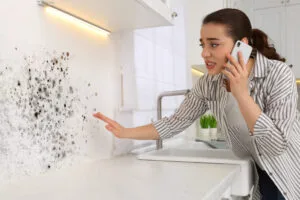How Long Does My Landlord Have to Fix Mold, Mold removal service. Woman talking on phone and looking at affected wall in kitchen